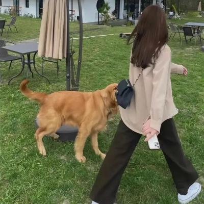 麻辣女孩:超级任务